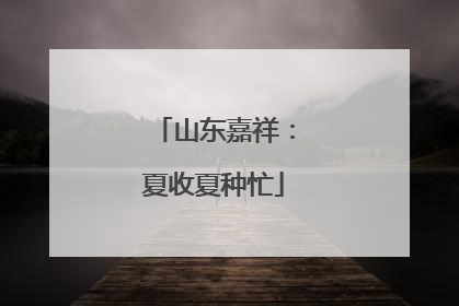 山东嘉祥：夏收夏种忙