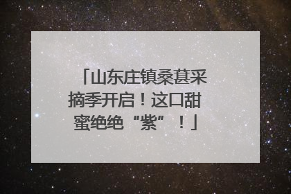 山东庄镇桑葚采摘季开启！这口甜蜜绝绝“紫”！