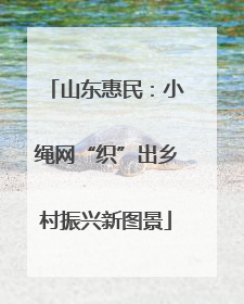 山东惠民：小绳网“织”出乡村振兴新图景