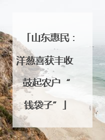 山东惠民：洋葱喜获丰收 鼓起农户“钱袋子”