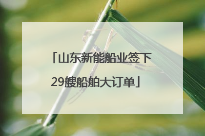 山东新能船业签下29艘船舶大订单