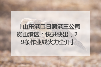 山东港口日照港三公司岚山港区：快进快出，29条作业线火力全开