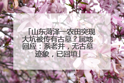 山东菏泽一农田突现大坑被传有古墓？属地回应：系老井，无古墓迹象，已回填