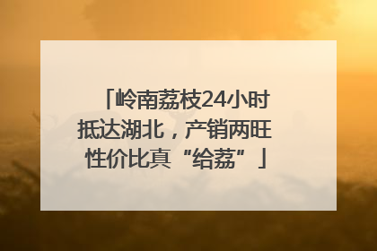 岭南荔枝24小时抵达湖北，产销两旺性价比真“给荔”