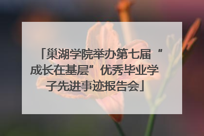 巢湖学院举办第七届“成长在基层”优秀毕业学子先进事迹报告会