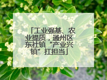 工业强基、农业提质，通州区东社镇“产业兴镇”扛担当