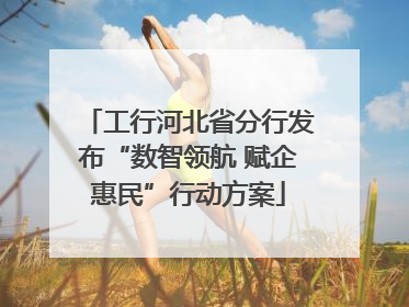工行河北省分行发布“数智领航 赋企惠民”行动方案