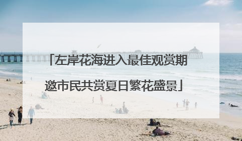 左岸花海进入最佳观赏期 邀市民共赏夏日繁花盛景