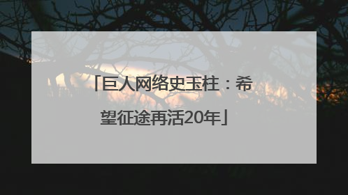 巨人网络史玉柱：希望征途再活20年