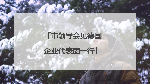 市领导会见德国企业代表团一行