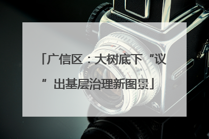 广信区：大树底下“议”出基层治理新图景