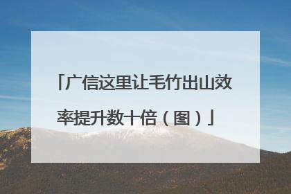 广信这里让毛竹出山效率提升数十倍（图）