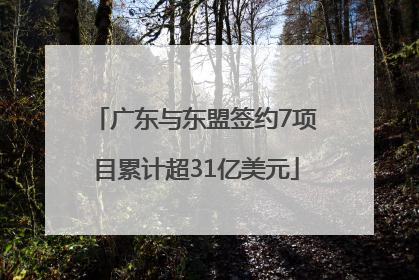 广东与东盟签约7项目累计超31亿美元