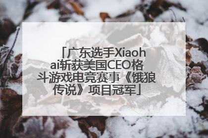 广东选手Xiaohai斩获美国CEO格斗游戏电竞赛事《饿狼传说》项目冠军