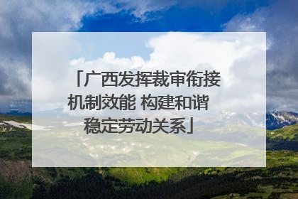 广西发挥裁审衔接机制效能 构建和谐稳定劳动关系