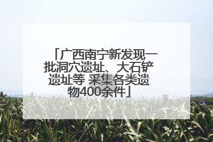 广西南宁新发现一批洞穴遗址、大石铲遗址等 采集各类遗物400余件