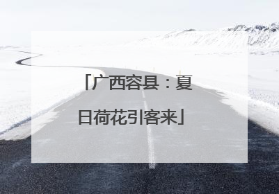 广西容县：夏日荷花引客来