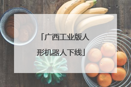 广西工业版人形机器人下线