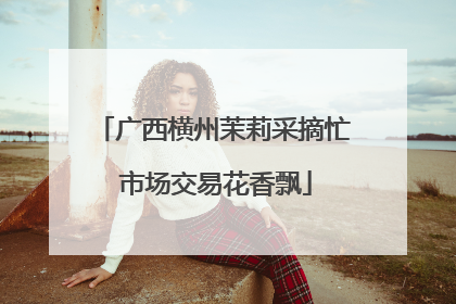 广西横州茉莉采摘忙 市场交易花香飘