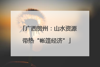 广西贺州：山水资源带热“帐篷经济”