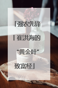 强农先锋丨崔洪海的“黄金叶”致富经