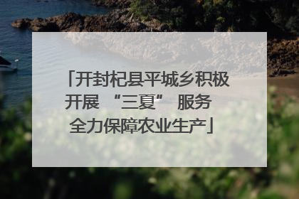 开封杞县平城乡积极开展 “三夏” 服务 全力保障农业生产