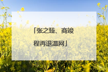 张之臻、商竣程再退温网