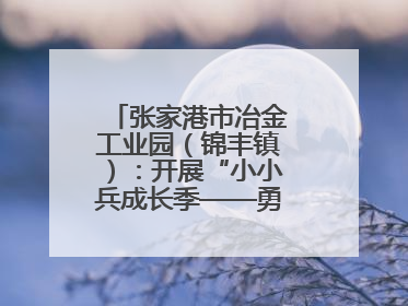 张家港市冶金工业园（锦丰镇）：开展“小小兵成长季——勇敢挑战营”国防启蒙教育活动