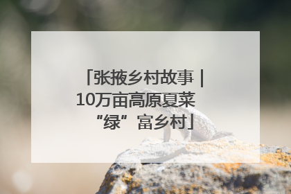 张掖乡村故事｜10万亩高原夏菜“绿”富乡村