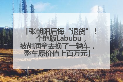 张朝阳后悔“退货”！一个绝版Labubu，被胡润拿去换了一辆车，整车原价值上百万元