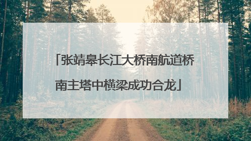 张靖皋长江大桥南航道桥南主塔中横梁成功合龙
