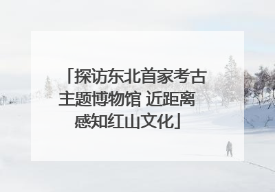 探访东北首家考古主题博物馆 近距离感知红山文化
