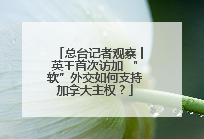 总台记者观察丨英王首次访加 “软”外交如何支持加拿大主权？