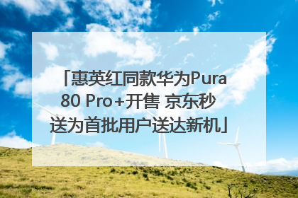 惠英红同款华为Pura 80 Pro+开售 京东秒送为首批用户送达新机