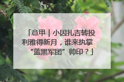 意甲｜小因扎吉转投利雅得新月，谁来执掌“蓝黑军团”帅印？