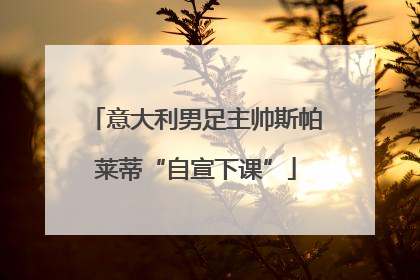 意大利男足主帅斯帕莱蒂“自宣下课”