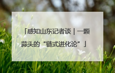 感知山东记者谈｜一颗蒜头的“链式进化论”