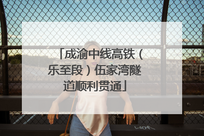 成渝中线高铁（乐至段）伍家湾隧道顺利贯通