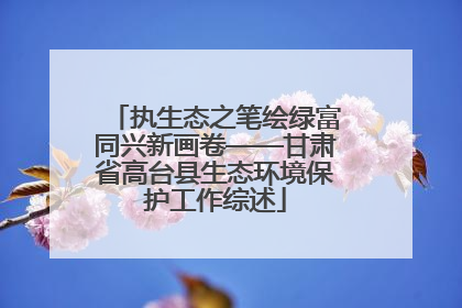 执生态之笔绘绿富同兴新画卷——甘肃省高台县生态环境保护工作综述
