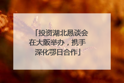 投资湖北恳谈会在大阪举办，携手深化鄂日合作