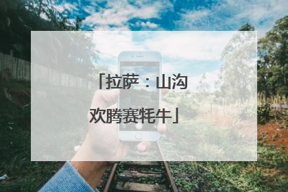 拉萨：山沟欢腾赛牦牛