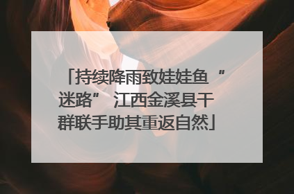 持续降雨致娃娃鱼“迷路” 江西金溪县干群联手助其重返自然
