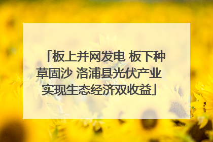 板上并网发电 板下种草固沙 洛浦县光伏产业实现生态经济双收益