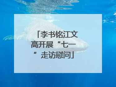李书铭江文高开展“七一”走访慰问