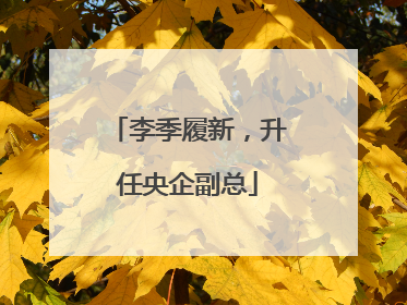 李季履新，升任央企副总