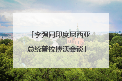 李强同印度尼西亚总统普拉博沃会谈