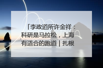 李政道所许金祥：科研是马拉松，上海有适合的跑道｜扎根上海，从0到1