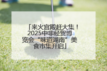 来火宫殿赶大集！2025中非经贸博览会“味道湖南”美食市集开启
