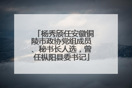 杨秀颀任安徽铜陵市政协党组成员、秘书长人选，曾任枞阳县委书记
