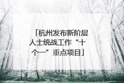 杭州发布新阶层人士统战工作“十个一”重点项目